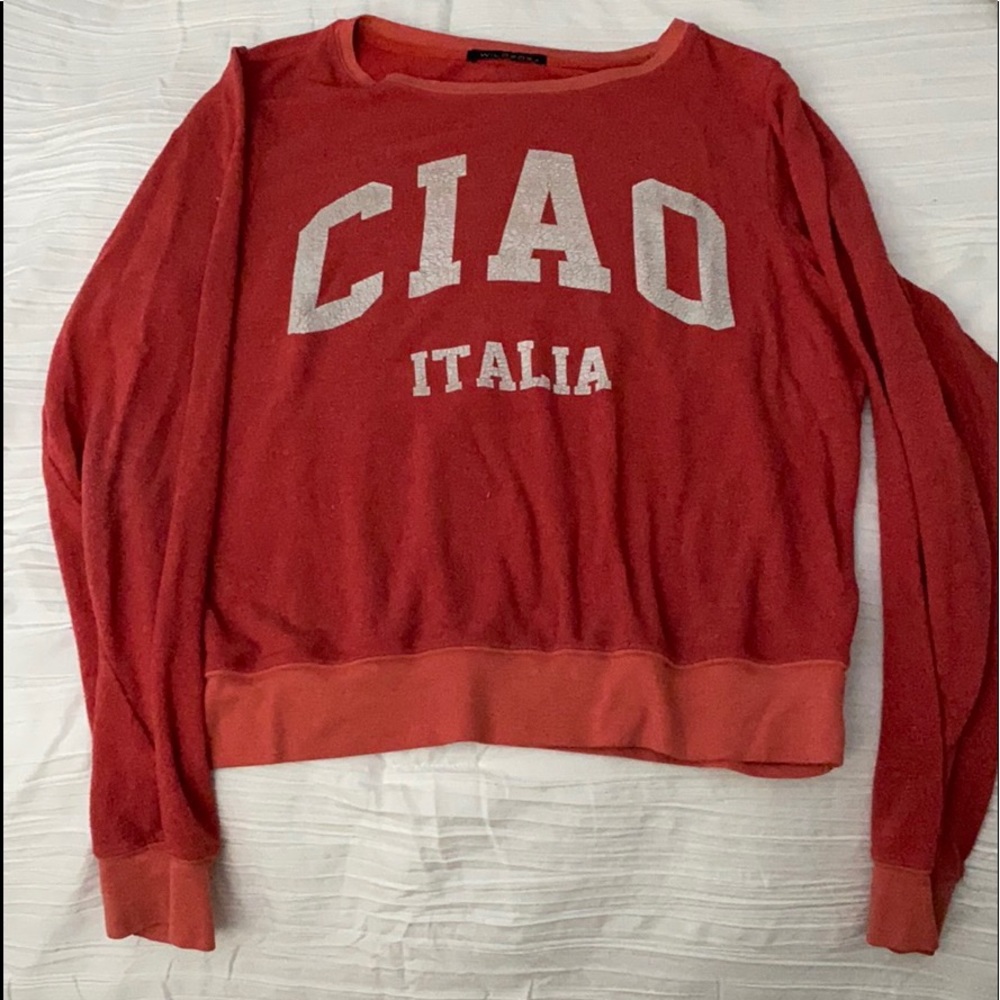 Wildfox sweatshirt